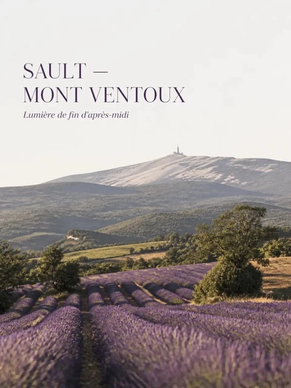 Provence et lavande autour de Sault et du Mont Ventoux